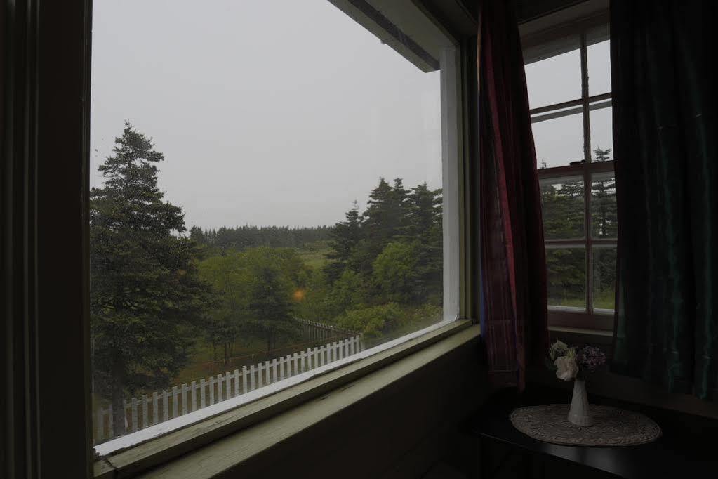Meems Elliston B&B Exteriér fotografie